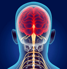 illustration of the neural canals of the cervical spine